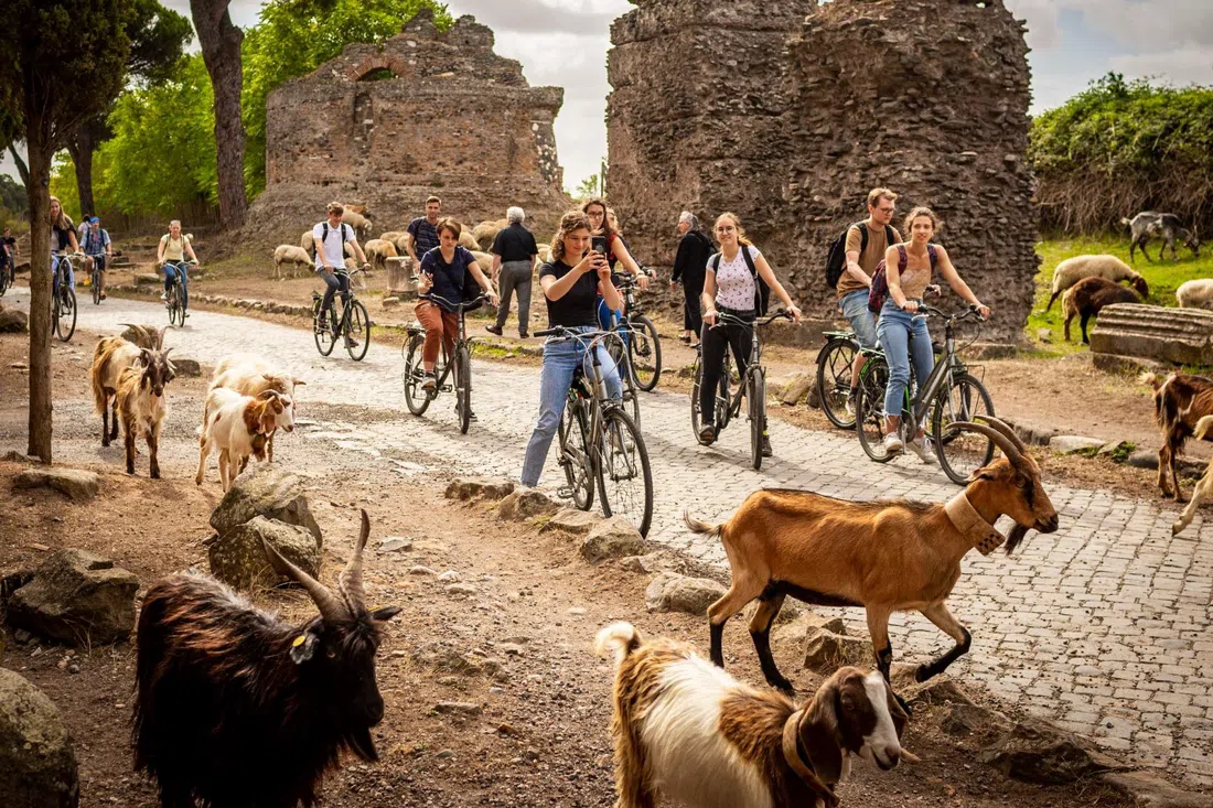 Centro Servizi Appia Antica (EcoBike), Roma
