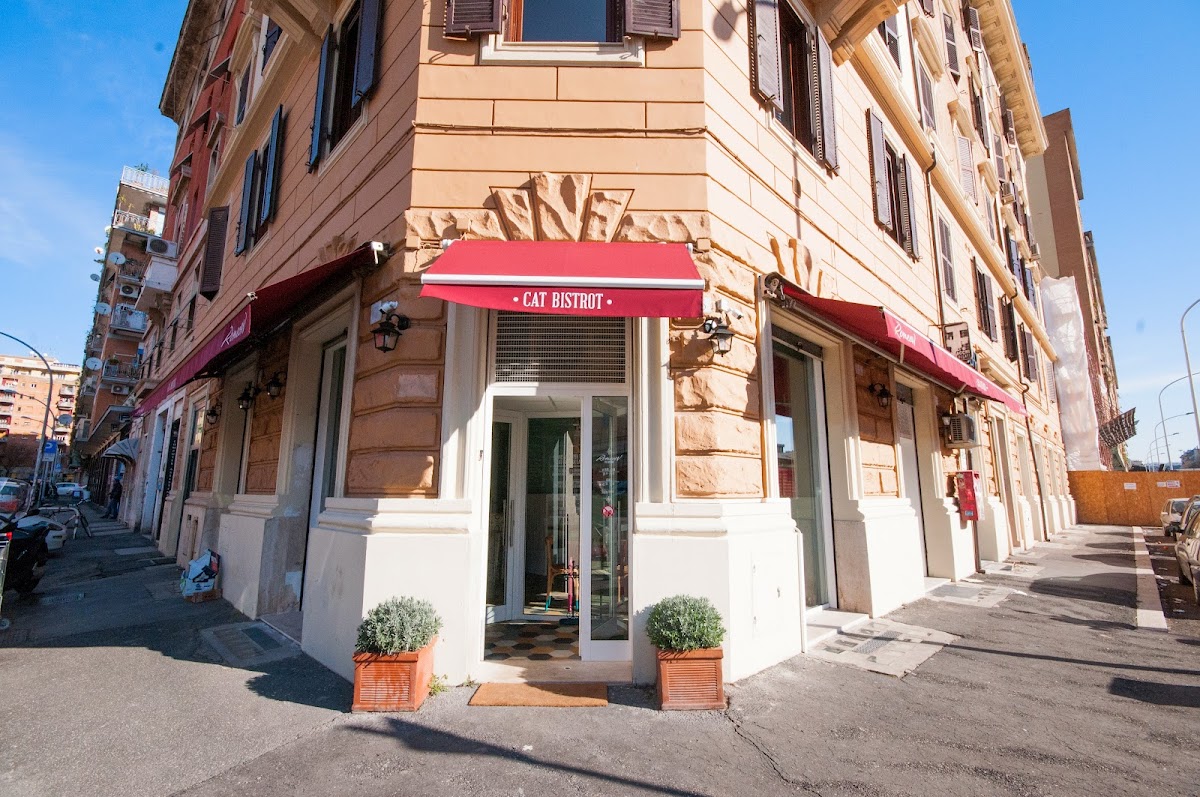 Romeow Cat Bistrot, Rome